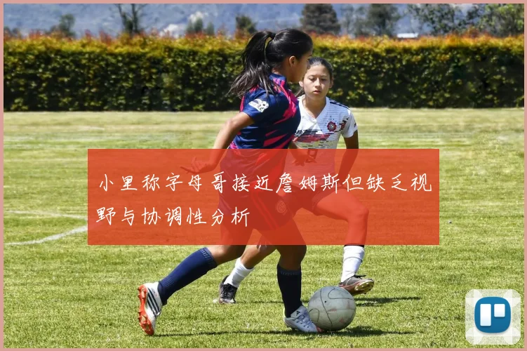 小里称字母哥接近詹姆斯但缺乏视野与协调性分析